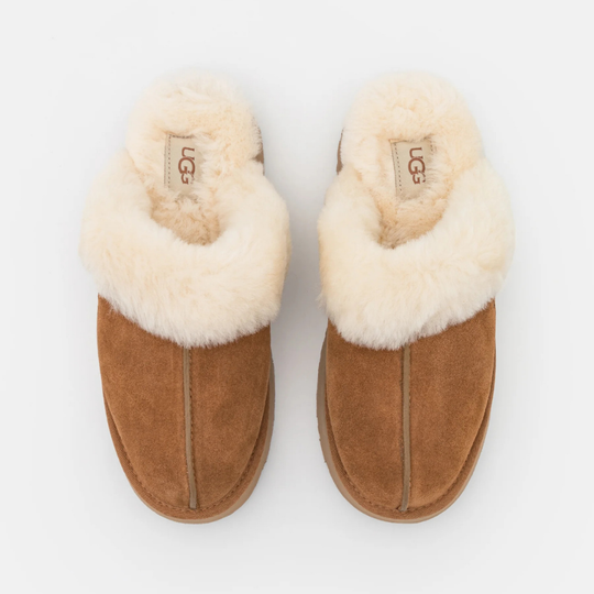Classic Disquette Slipper | Chestnut